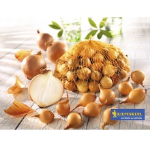 Lökar och sättlökar i ett nät på ett träbord