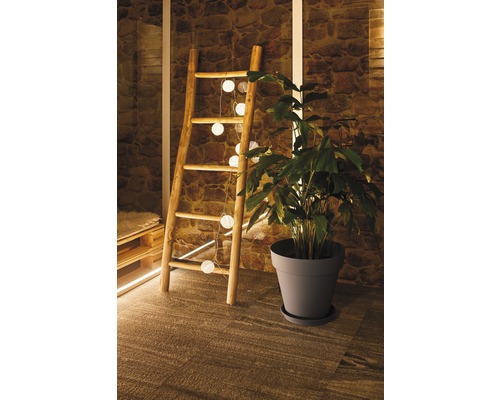 Scen med trästege, ljusslinga och krukväxt i kruka