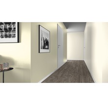 Hall med dörr, bilder och laminatgolv