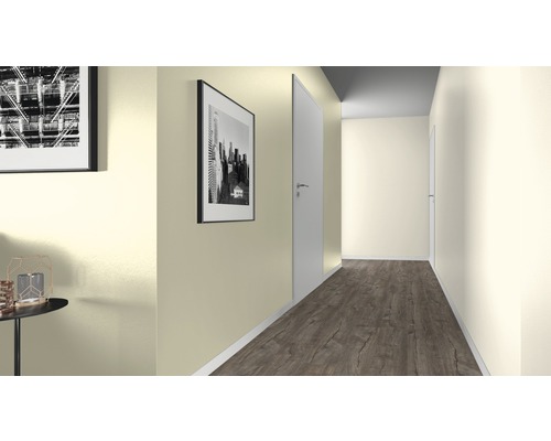 Hall med dörr, bilder och laminatgolv