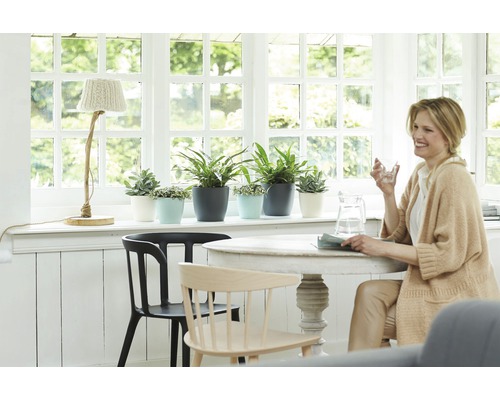 Ljus interiör med bord, stolar, krukväxter och dekoration