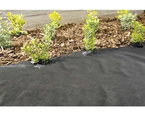 Trädgårdsscen med ogräsduk och växter i rabatten