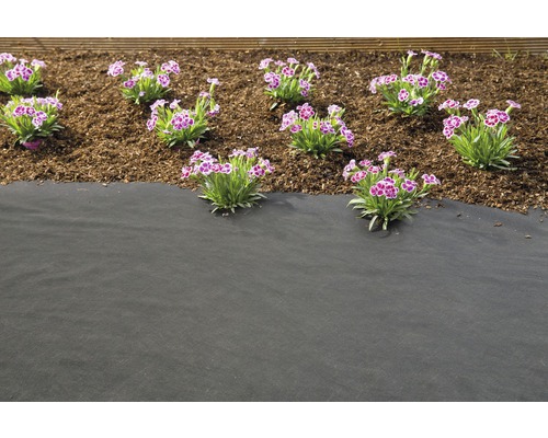 Trädgård med ogräsduk, barkmull och blommande nejlikor