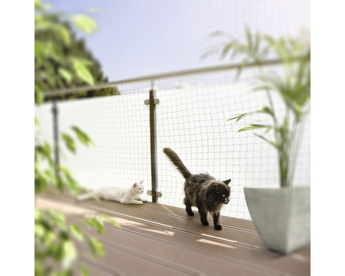 Foto av ett kattnät på en balkong med två katter
