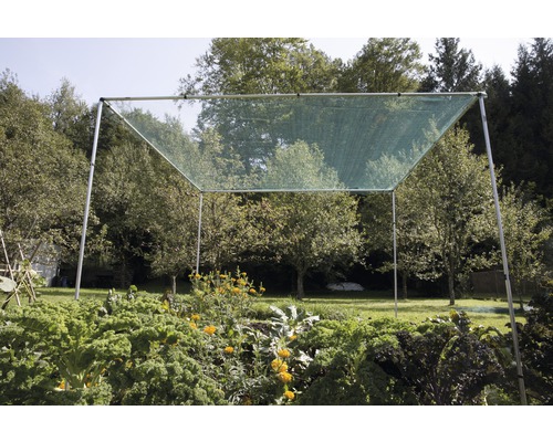 Grönsaksträdgård med skyddsnät på ramkonstruktion