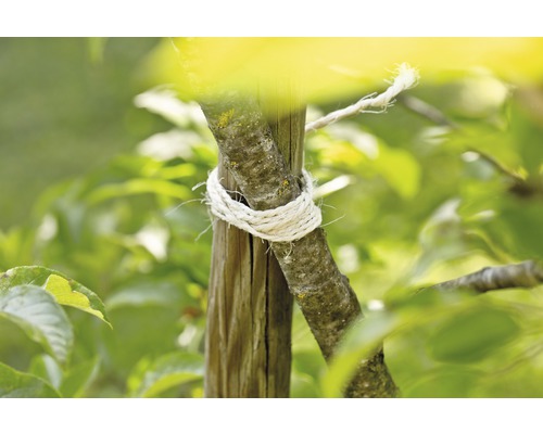 Trädskydd med bindmaterial