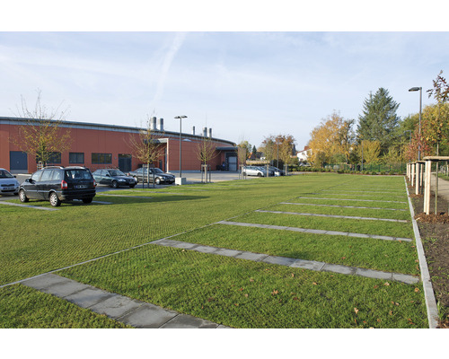 Parkeringsplats med gräsarmering och parkerade bilar