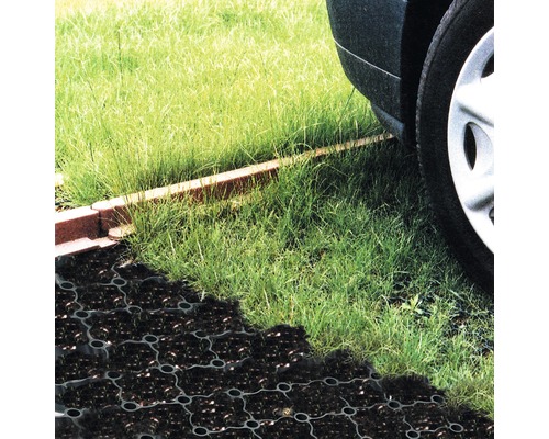 Gräsarmeringsplattor på en gräsmatta med en bil parkerad på den.
