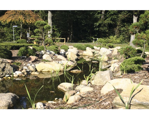 Landskapsfoto av en trädgårdsdamm med stenar och växter