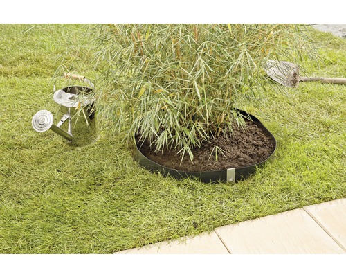 Scen med bambuväxt, gräsmatta, vattenkanna och spade i trädgården