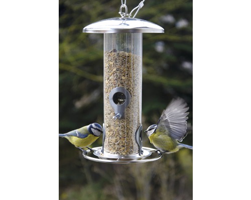 Fågelmatare med två blåmesar