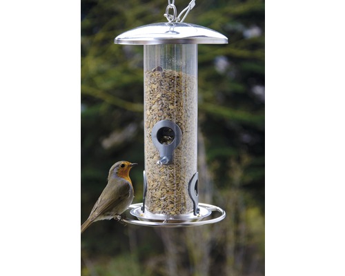 Fågelmatare med mat och en rödhake