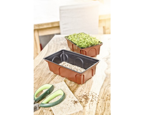 Krassefat med krassefrön, såmatta och trädgårdssax på ett bord