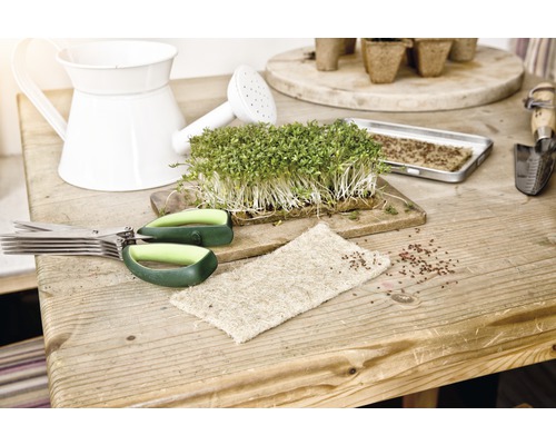 Odlingsscen med krasse, sax, vattenkanna och sålåda på ett träbord