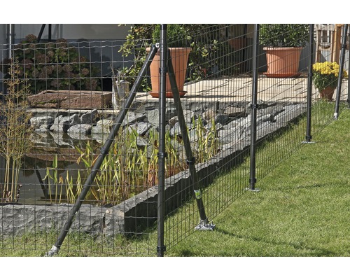 Stängsel i trädgård med damm och växter