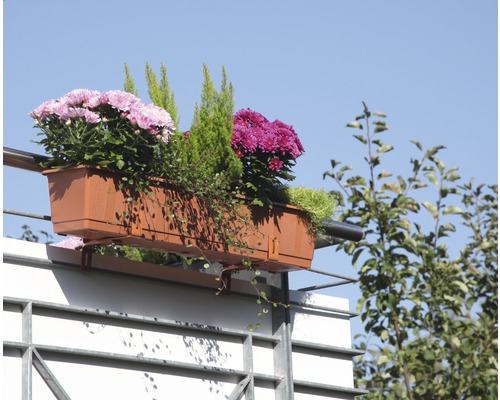 Blomlåda med olika växter och blommor på en balkong