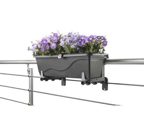 Blomlåda för montering på en räcke med lila blommor