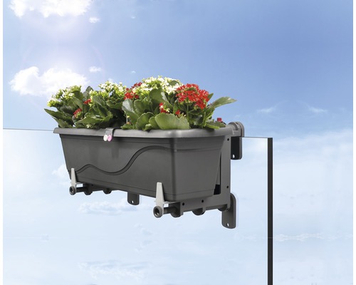 Grå balkonglåda med blommor för räcksmontering