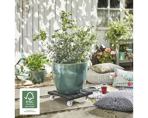 Blomvagn med växt utomhus med FSC-sigill