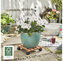 Blomvagn i trä med hjul och blomkruka utomhus