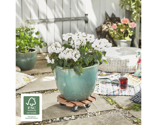 Scen med blomkruka på rullbräda med FSC-sigill i trädgården.