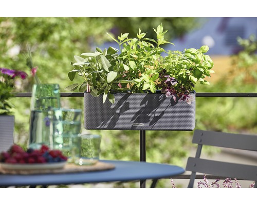 Balkongscen med planterad blomlåda på ett räcke