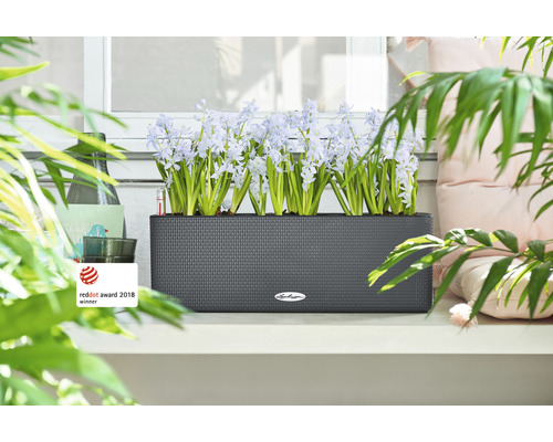 Rektangulär blomlåda med blommande hyacinter på en fönsterbräda