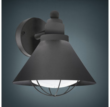 Utomhusvägglampa med bur