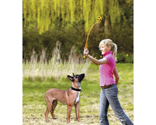 Kvinna kastar boll med bollslunga till en hund