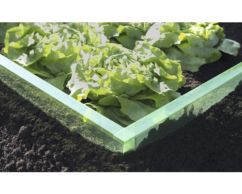 Hög odlingsbädd med sallad i trädgården