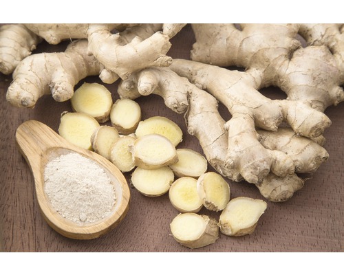 Ingefärsrot med ingefärsskivor och ingefärspulver