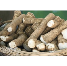 Pepparrotsrötter i en korg