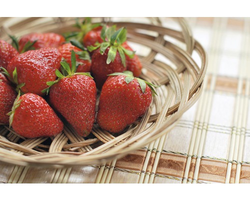 Jordgubbar i en korg