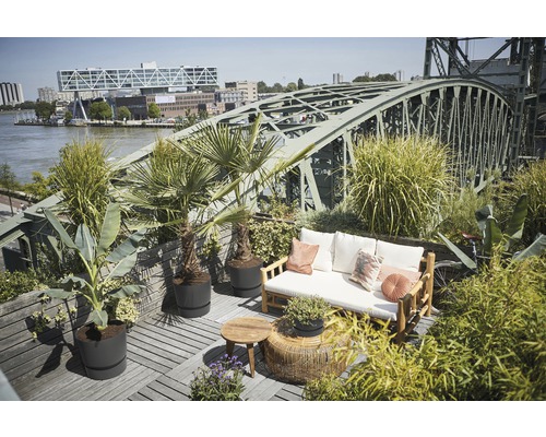 Designad takterrass med sittgrupp, sidobord och olika växter i krukor.