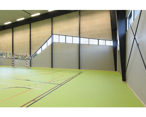 Inredning av en sporthall med fältmarkeringar och handbollsmål