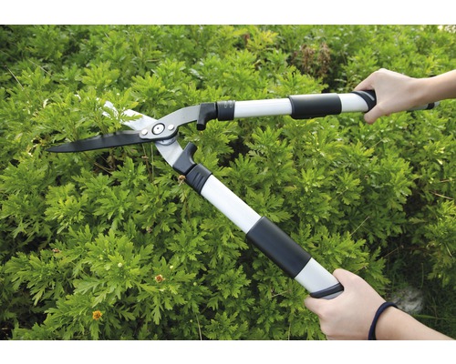 En person använder en häcksax med teleskopskaft för att klippa en häck.