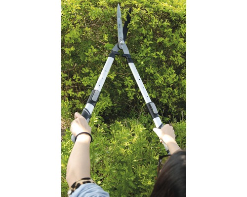 Person klipper häck med en häcksax