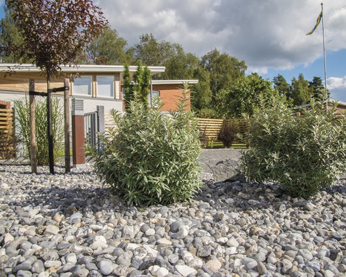 Trädgårdsscen med dekorativt grus, buskar och träd framför ett bostadshus.