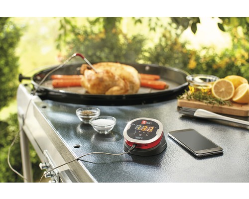 Scen med en grill, en kyckling, morötter, kryddor, citron, olja och en digital termometer.