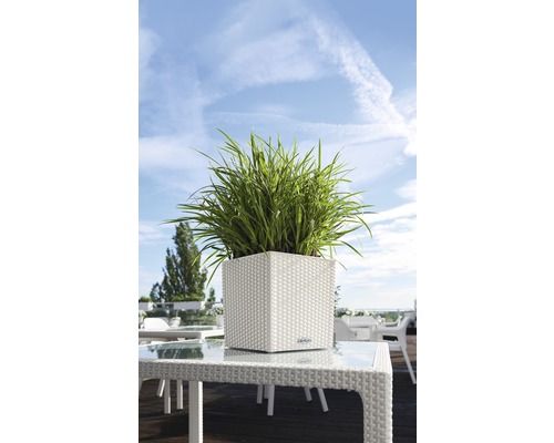 Fyrkantig blomkruka med gröna växter på ett bord utomhus