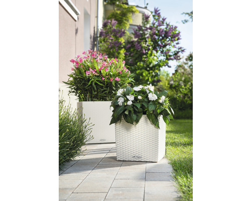 Två kvadratiska blomkrukor med blommor på en terrass.