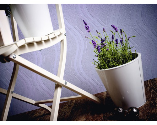 Dekorativ växt i vit kruka bredvid en växthylla