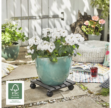 Blomkruka med hortensior på blomvagn utomhus med FSC-sigill