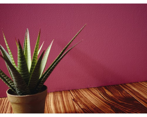 Inomhusväxt i kruka på ett träbord