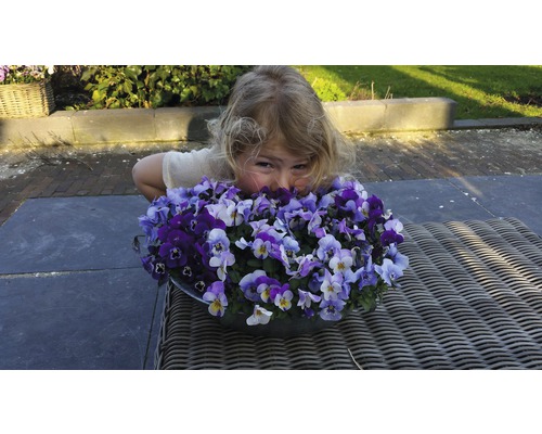 Flicka med penséer i planteringsskål på rottingbord