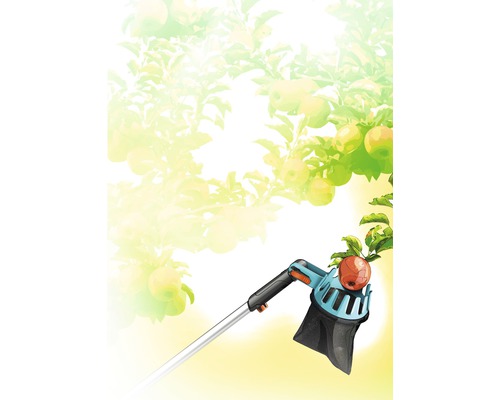 Äppelplockare i bruk under äppelträd