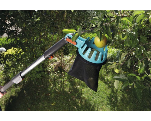 Äppelplockare i träd med äpplen