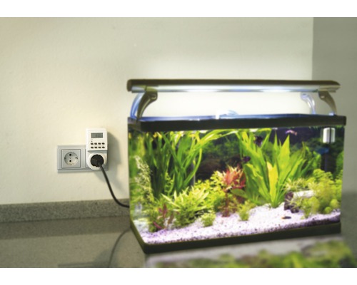 Akvarium med timer för belysningsstyrning