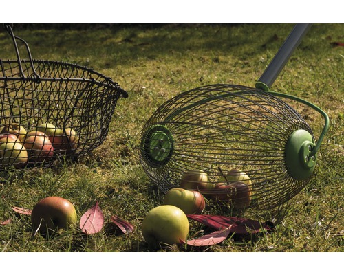 Äppelplockare av metalltråd med äpplen på en äng