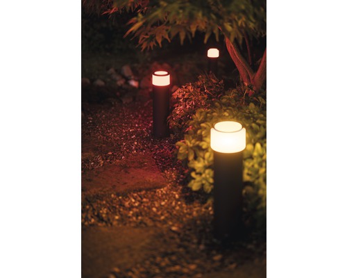 Belyst trädgårdsgång med flera pollare mellan växter